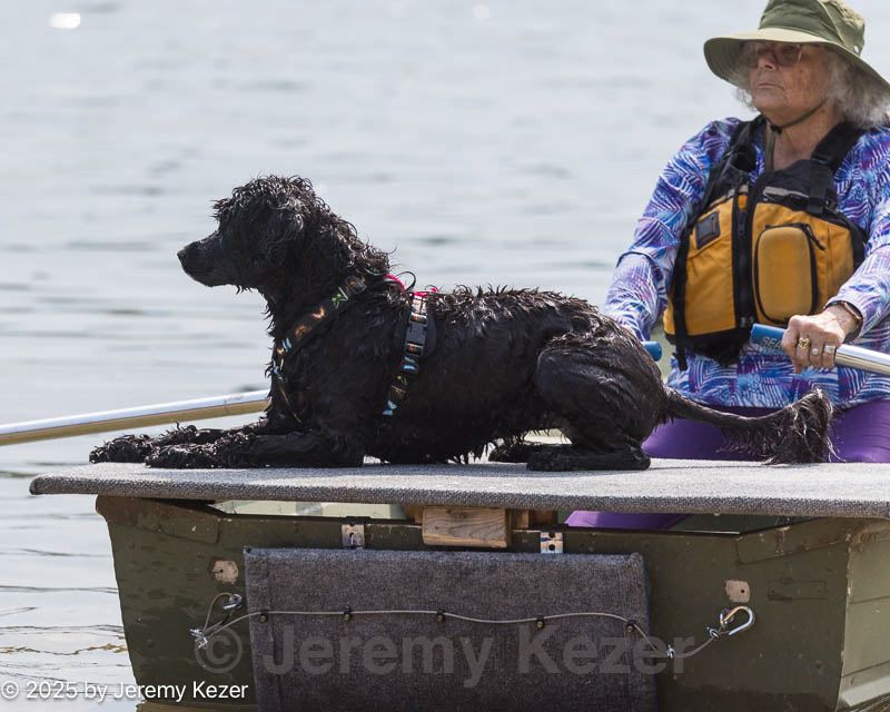 20250817-master-0074.jpg