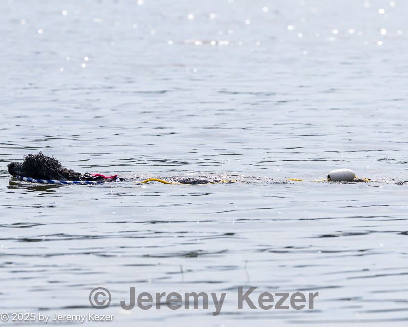 20250817-master-0115.jpg