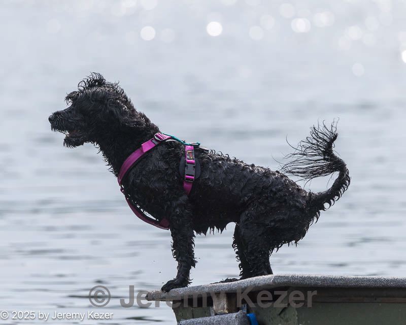 20250817-master-0156.jpg