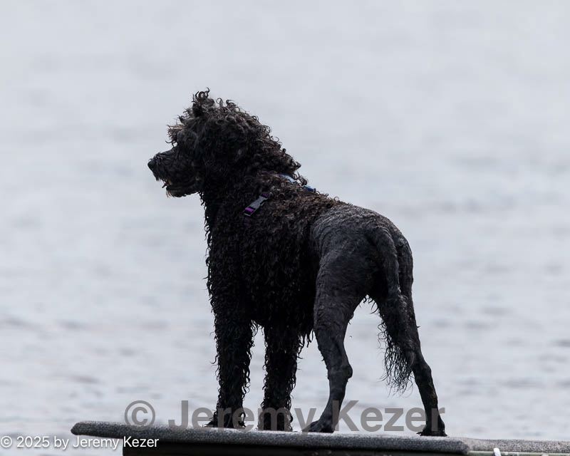 20250817-master-0201.jpg