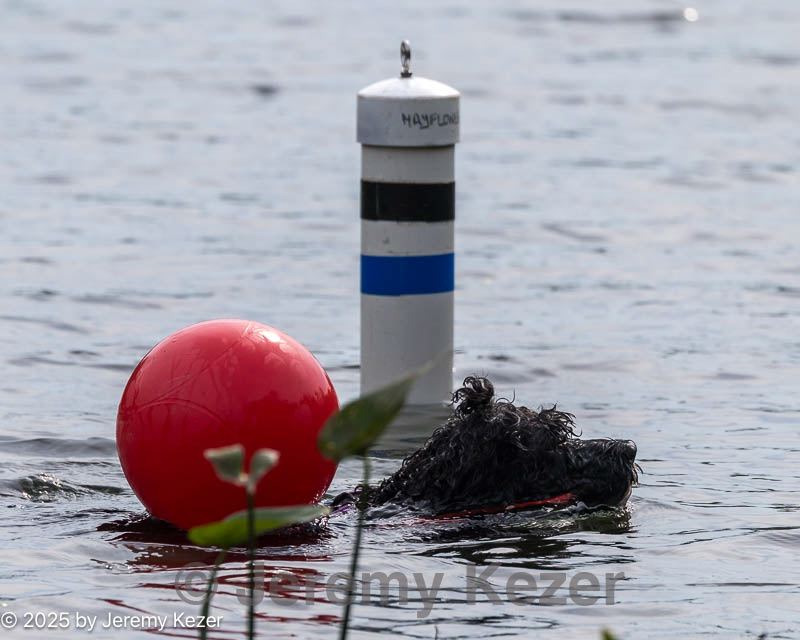 20250817-master-0237.jpg