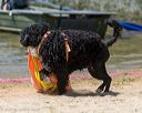 20250817-wwd-0151