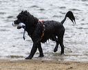 20250913-awd-0031