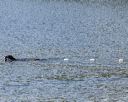 20250913-cwd-0033