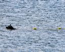 20250913-cwd-0342