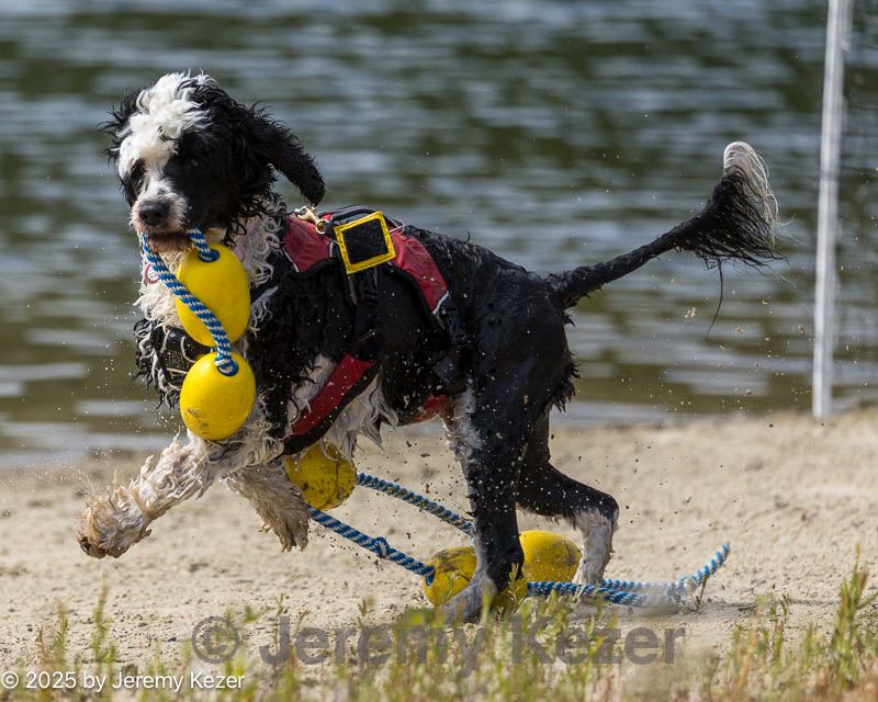20250913-cwd-0201.jpg