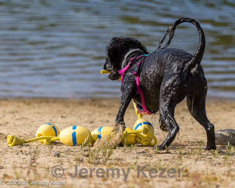 20250913-master-0061.jpg