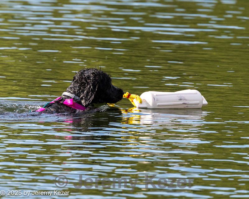 20250913-master-0068.jpg