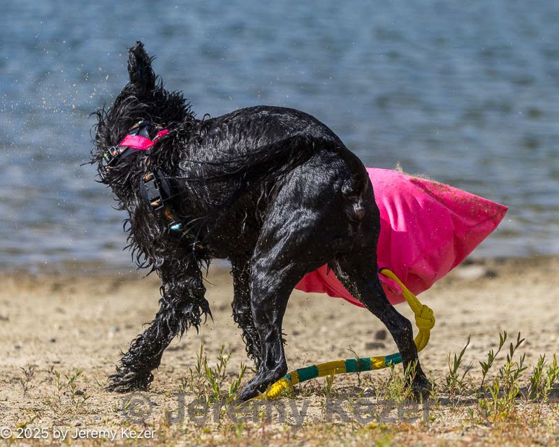 20250913-master-0106.jpg