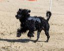20250914-cwd-0417