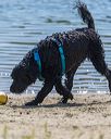 20250914-cwd-0434