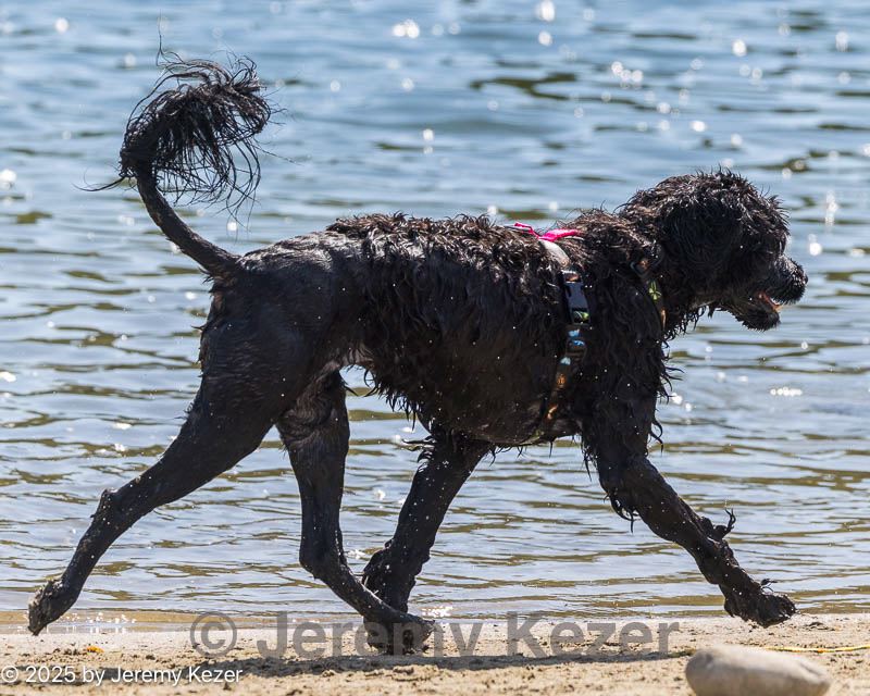 20250914-master-0002.jpg