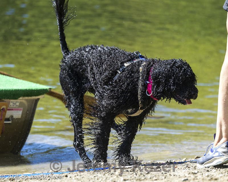 20250920-awd-0071.jpg
