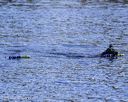 20250920-cwd-0040