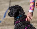 20250920-jwd-0027