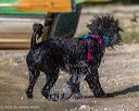 20250920-jwd-0032