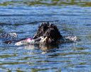 20250920-jwd-0065
