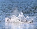 20250920-wwd-0128