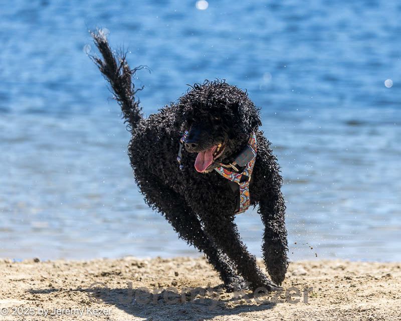 20250920-wwd-0094.jpg