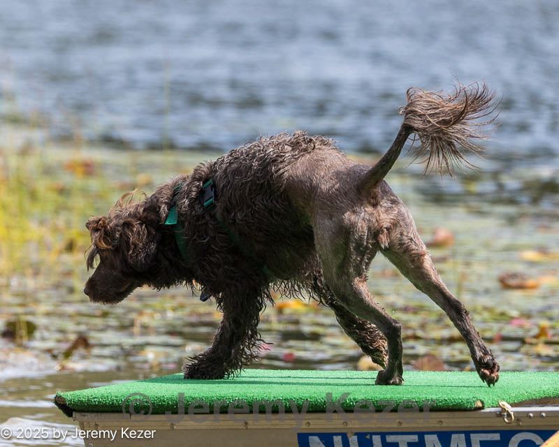 20250921-awd-0054.jpg