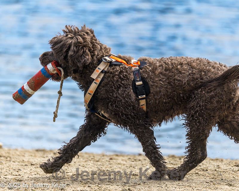 20250921-jwd-0030.jpg