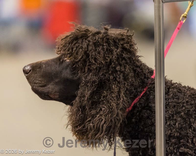 20260131-0001.jpg