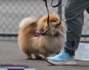 20260718-NSKC-0267