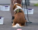20260718-NSKC-0369