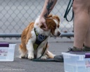 20260718-NSKC-0372