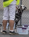 20260718-NSKC-0446