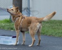 20260718-NSKC-0530
