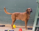 20260718-NSKC-0584