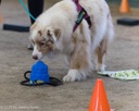 20260718-NSKC-0609