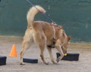 20260718-NSKC-0676