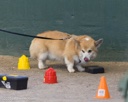 20260718-NSKC-0684
