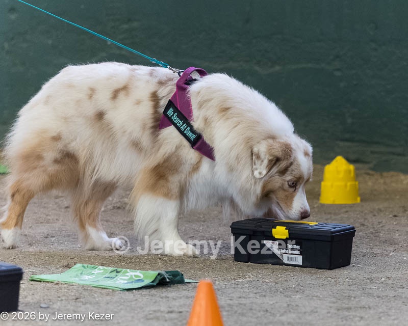 20260718-NSKC-0607.jpg