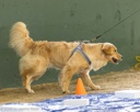 20260718-NSKC-0010