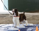20260718-NSKC-0051