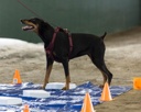 20260718-NSKC-0069