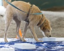 20260718-NSKC-0130