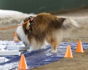 20260718-NSKC-0218