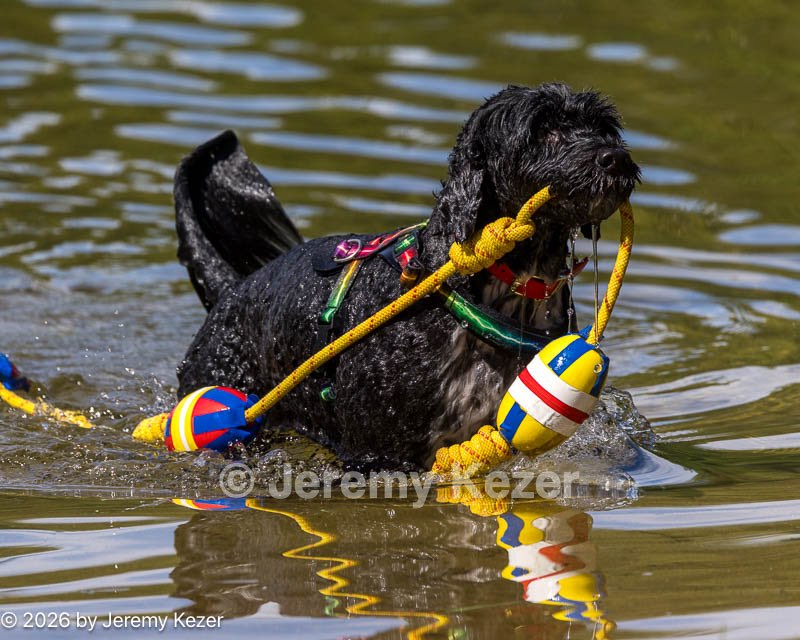 20260815-AWD-0033.jpg