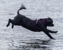 20260815-CWD-0056