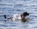20260815-CWD-0109