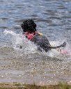 20260815-CWD-0149