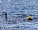 20260815-CWD-0176