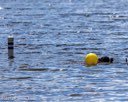 20260815-CWD-0177