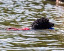 20260815-CWD-0228