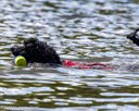 20260815-CWD-0230