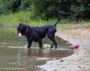 20260815-CWD-0257